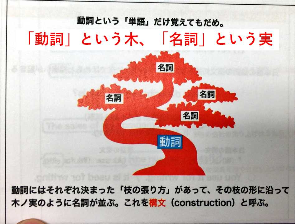 動詞という木、名詞という実