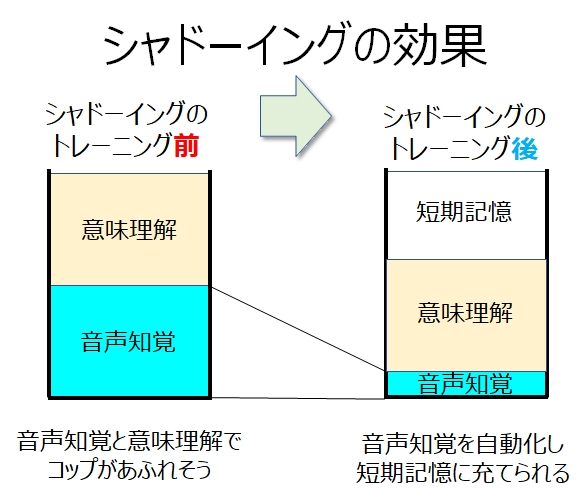 シャドーイングの効果