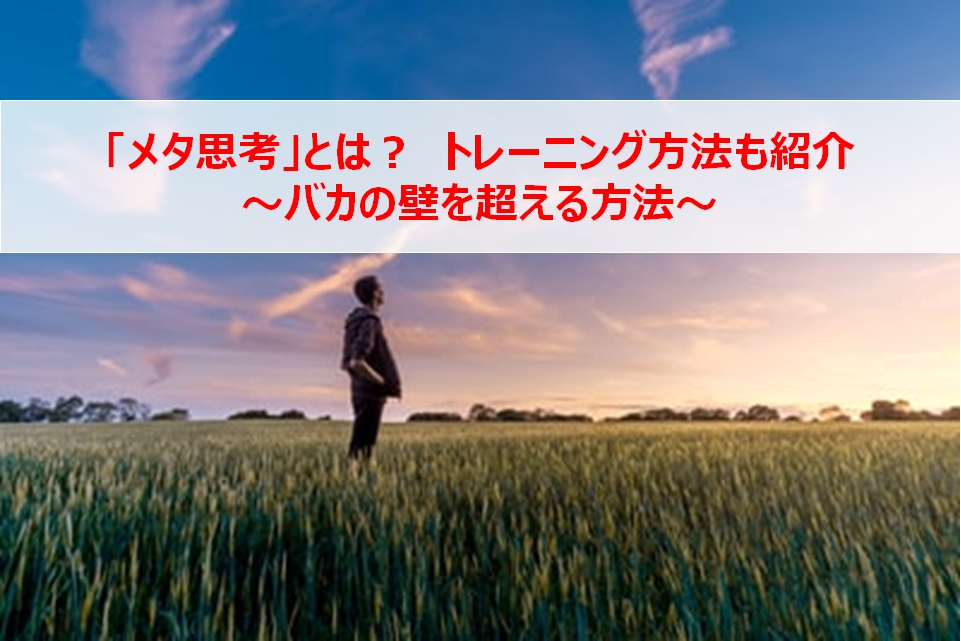 メタ思考のトレーニング法を紹介~ビジネスパーソンが知っておくべきスキル~
